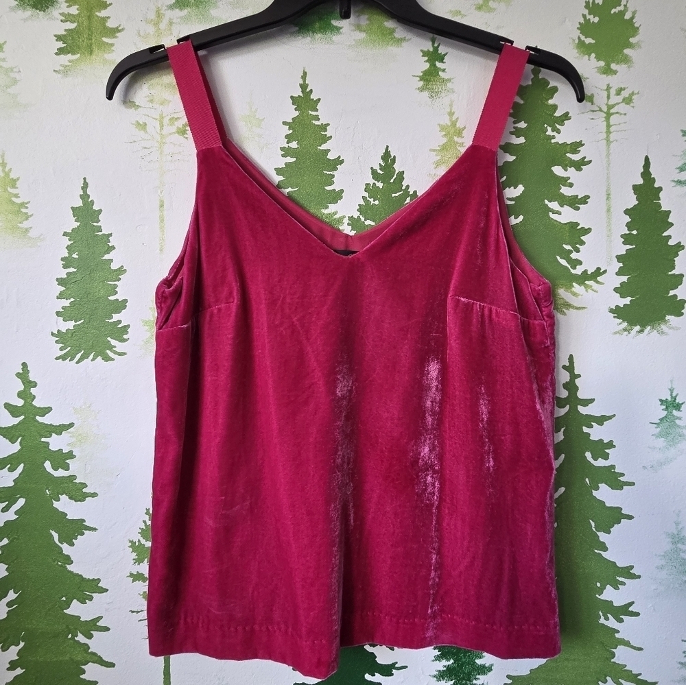 Drapey J.Crew Velvet Camisole Top